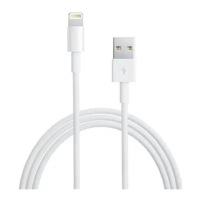 Apple Lightning to USB Cable (0,5m)