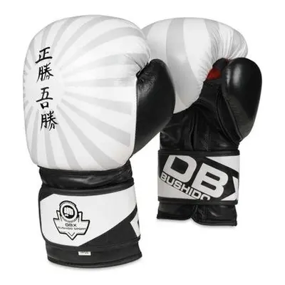 BUSHIDO Boxerské rukavice DBX B-2v8 10oz