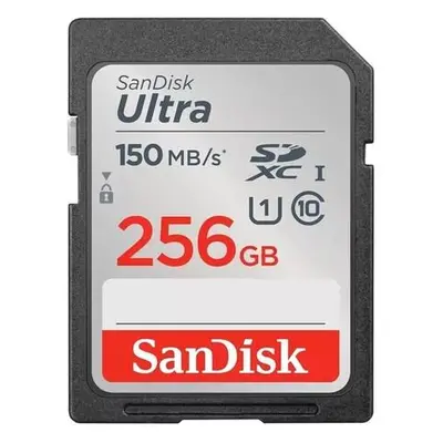 SanDisk SDXC Class 10 256 GB SDSDUNC-256G-GN6IN