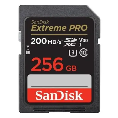 SanDisk SDXC UHS-I U3 256 GB SDSDXXD-256G-GN4IN