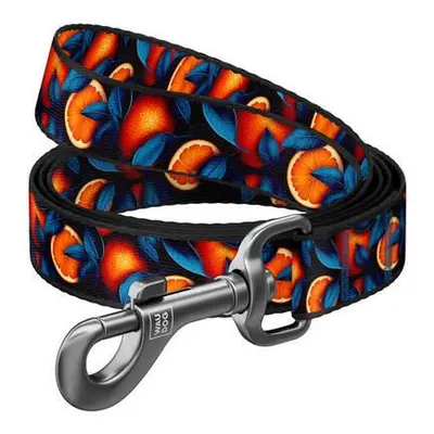 Nylon dog leash, pattern ''Oranges'' length 122 cm Waudog