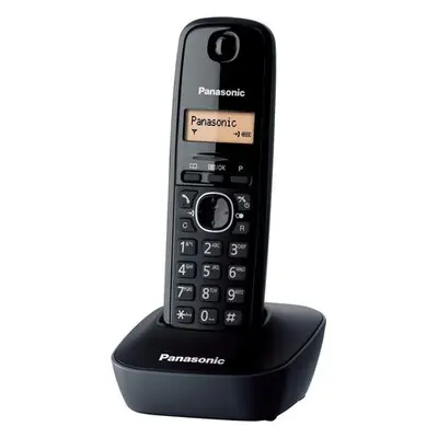 PANASONIC KX-TG1611FXH, KX-TG1611FXH