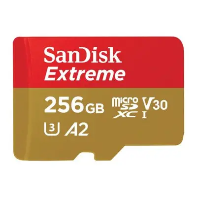 SanDisk microSDXC UHS-I U3 256 GB SDSQXAV-256G-GN6GN