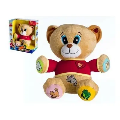 Teddies Medvěd Tedík mluvící