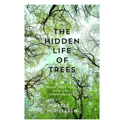 The Hidden Life of Trees