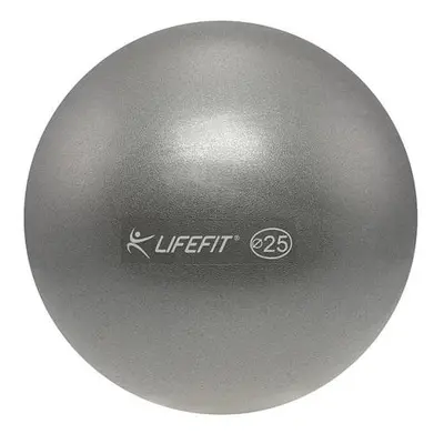 Míč OVERBALL LIFEFIT 25cm, stříbrný