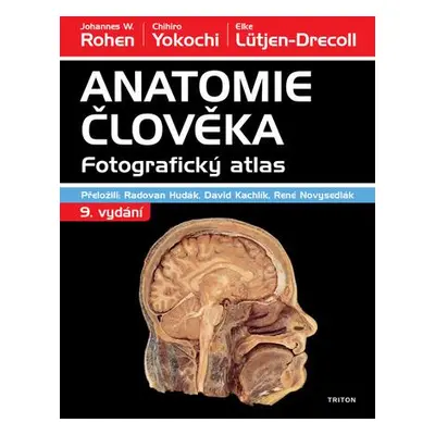 Anatomie člověka