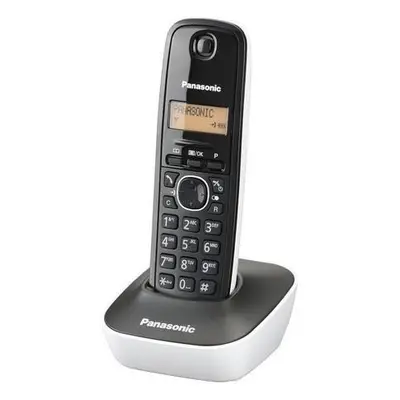 PANASONIC KX-TG1611FXW, TBFSPATG1611005