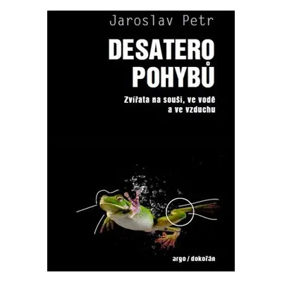 Desatero pohybů