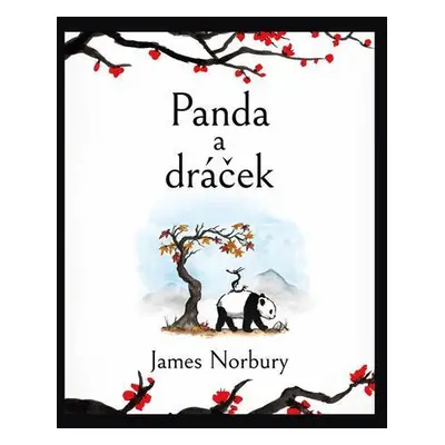 Panda a dráček