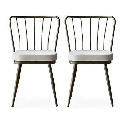 Hanah Home Chair Set (2 Pieces) Yıldız - 985 V2