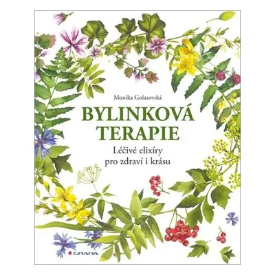 Bylinková terapie