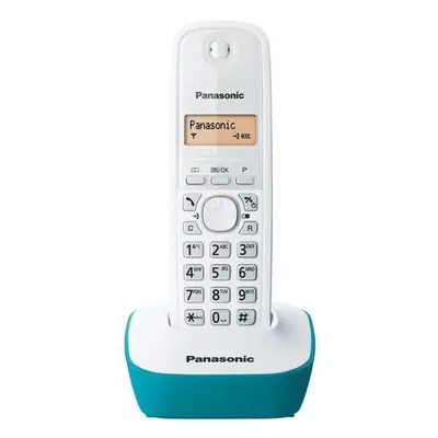 PANASONIC KX-TG1611FXC, TBFSPATG1611002