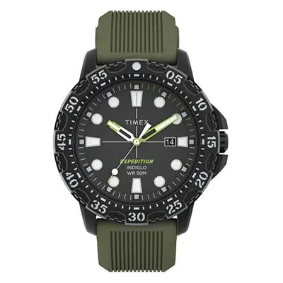 Timex Expedition Gallatin TW4B25400