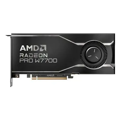 AMD Radeon PRO W7700 16GB GDDR6 / PCIe 4.0 / 4x DP /, 100-300000006