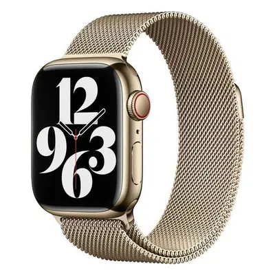 Watch Acc/41/Gold Milanese Loop