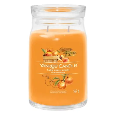 Aromatická svíčka Signature sklo velké Farm Fresh Peach Yankee Candle - 567 g