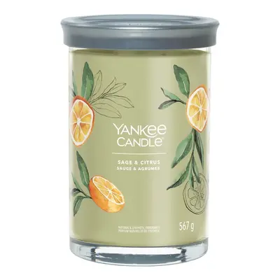 Aromatická svíčka Signature tumbler velký Sage & Citrus Yankee Candle - 567 g