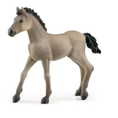 Schleich Zvířátko - hříbě Criollo Definitivo