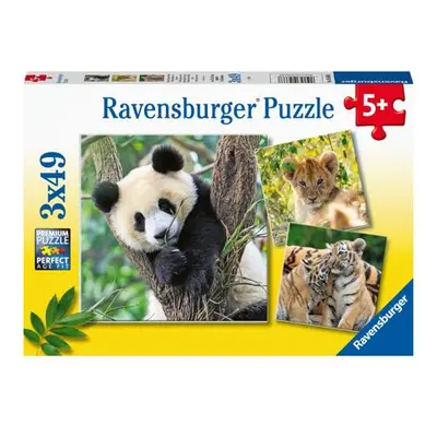 Ravensburger Panda, tygr a lev Puzzle 3x49 dílků