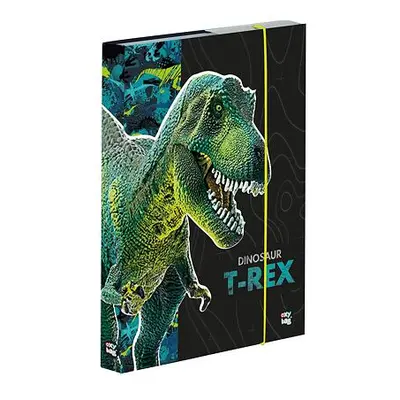 Oxybag Box na sešity A5 Premium Dinosaurus