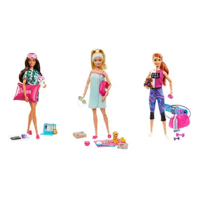 MATTEL BARBIE WELLNESS PANENKA , VÍCE DRUHŮ