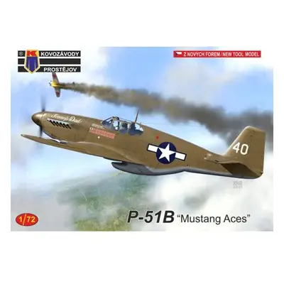 P-51B Mustang Aces