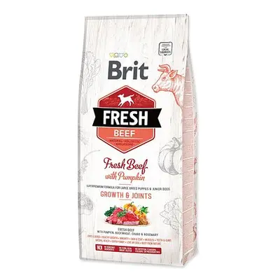 BRIT Fresh Beef with Pumpkin Puppy Large 12 kg