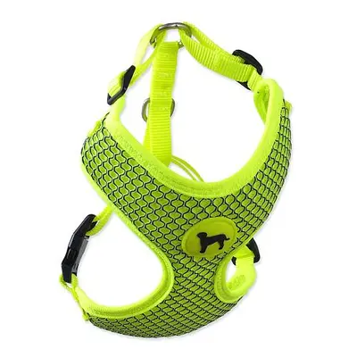 Postroj ACTIVE DOG Mellow limetka S 1 ks