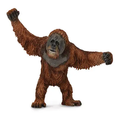 COLLECTA Orangutan