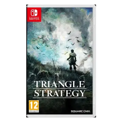 Nintendo Switch Triangle strategy