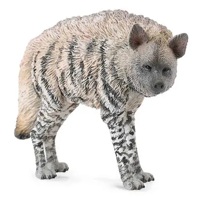 COLLECTA Hyena žíhaná