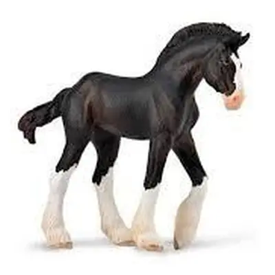 COLLECTA Hříbě Clydesdale - Black