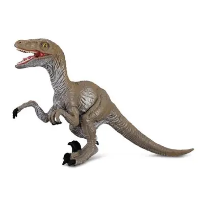 COLLECTA Velociraptor