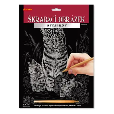 ArtLover Škrabací obrázek stříbrný, více druhů