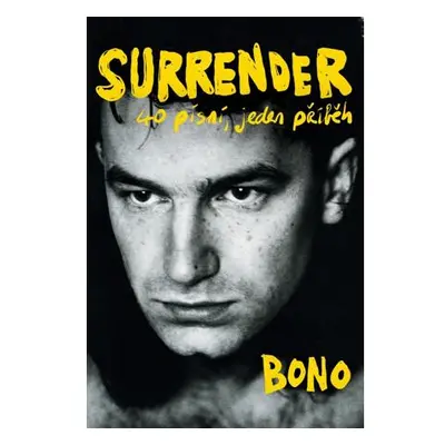 Surrender - 40 písní, jeden příběh