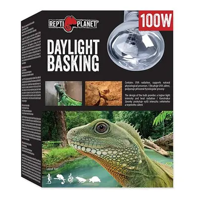 Žárovka REPTI PLANET Daylight Basking Spot 100 W