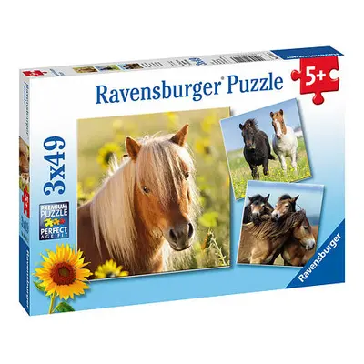 Ravensburger Koně Puzzle 3x49 dílků