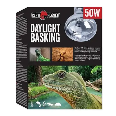 Žárovka REPTI PLANET Daylight Basking Spot 50 W