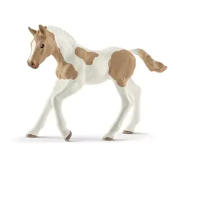 Schleich Zvířátko - Hříbě plemene Paint Horse