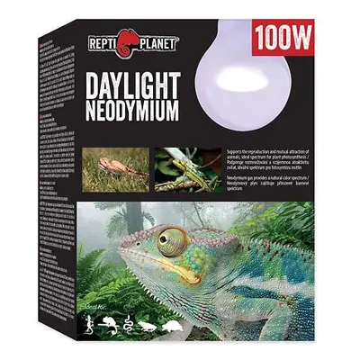 Žárovka REPTI PLANET Daylight Neodymium 100 W