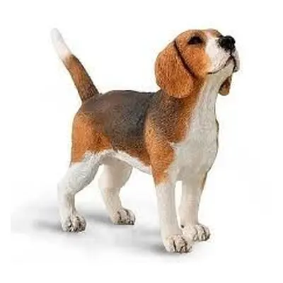 COLLECTA Beagle