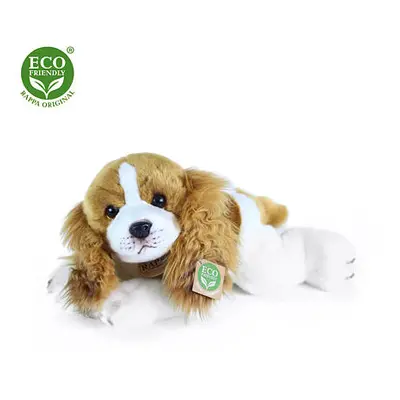 Plyšový pes Kavalír King Charles španěl ležící 30 cm ECO-FRIENDLY