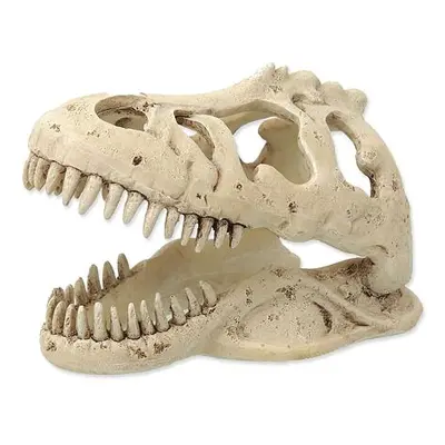 Dekorace REPTI PLANET T-REX lebka 13,3 cm