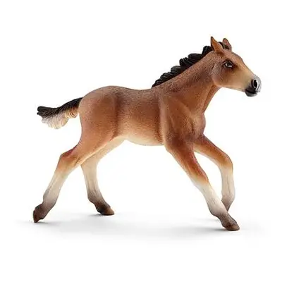 Schleich Zvířátko - hříbě Mustang