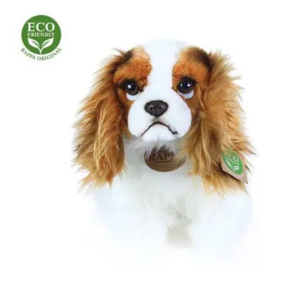 Rappa plyšový pes king charles španěl 25 cm ECO-FRIENDLY