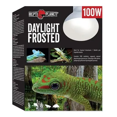 Žárovka REPTI PLANET Daylight Frosted 100 W