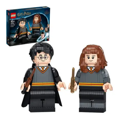 LEGO® 76393 Harry Potter™ a Hermiona Grangerová