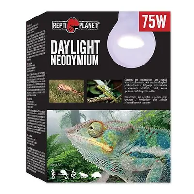 Žárovka REPTI PLANET Daylight Neodymium 75 W