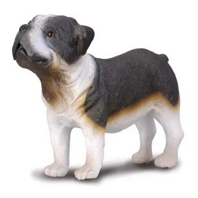 COLLECTA Buldog